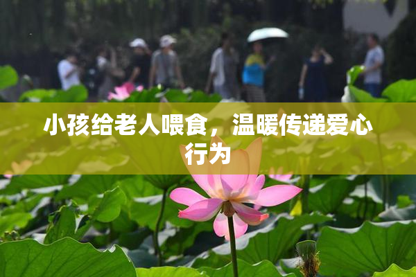 小孩给老人喂食，温暖传递爱心行为