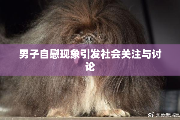 男子自慰现象引发社会关注与讨论