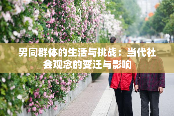 男同群体的生活与挑战：当代社会观念的变迁与影响