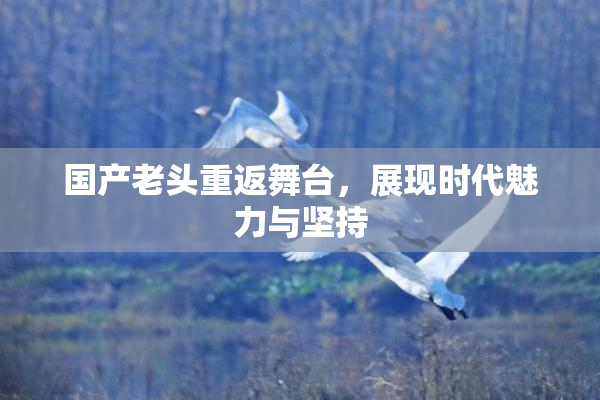 国产老头重返舞台，展现时代魅力与坚持