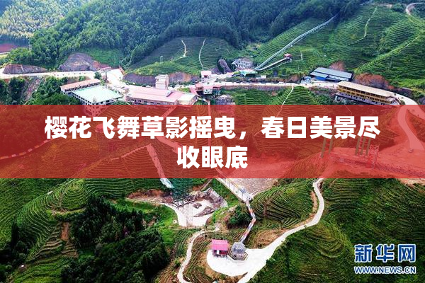 樱花飞舞草影摇曳，春日美景尽收眼底