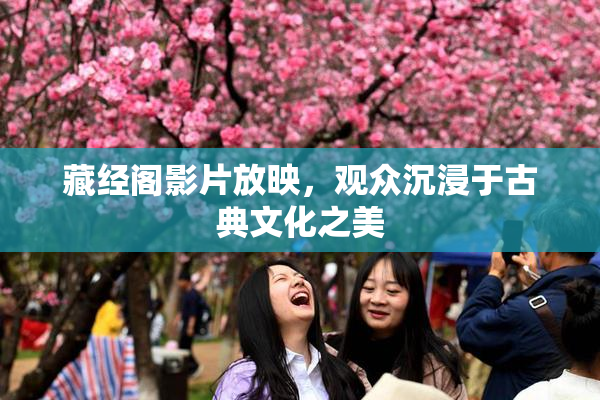 藏经阁影片放映，观众沉浸于古典文化之美