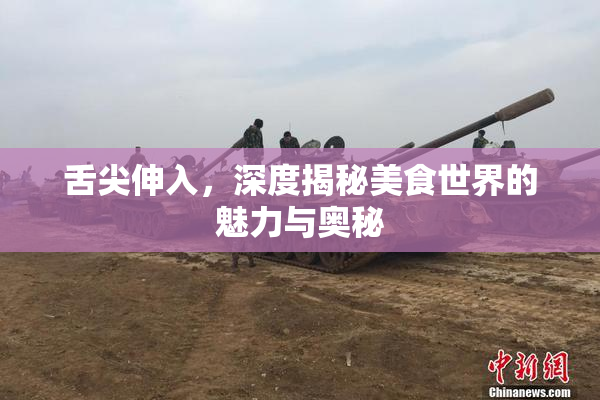 舌尖伸入，深度揭秘美食世界的魅力与奥秘