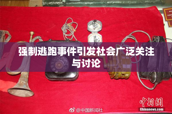 强制逃跑事件引发社会广泛关注与讨论