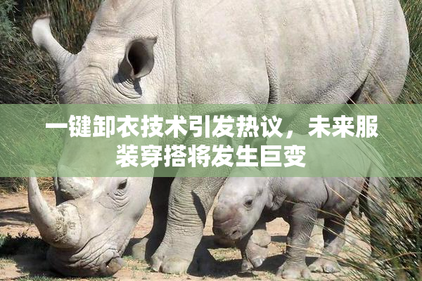 一键卸衣技术引发热议，未来服装穿搭将发生巨变