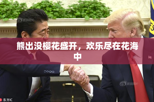 熊出没樱花盛开，欢乐尽在花海中