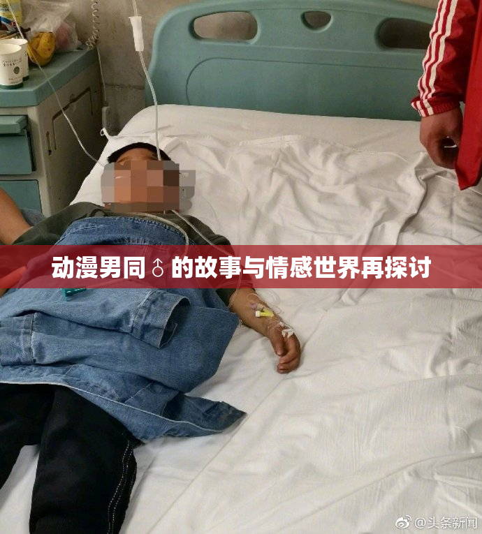 动漫男同♂的故事与情感世界再探讨