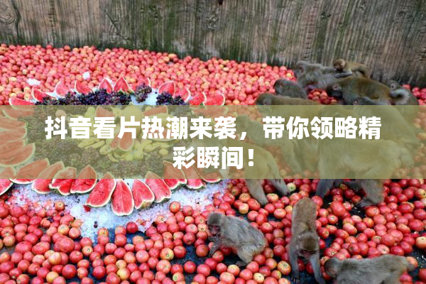 抖音看片热潮来袭，带你领略精彩瞬间！