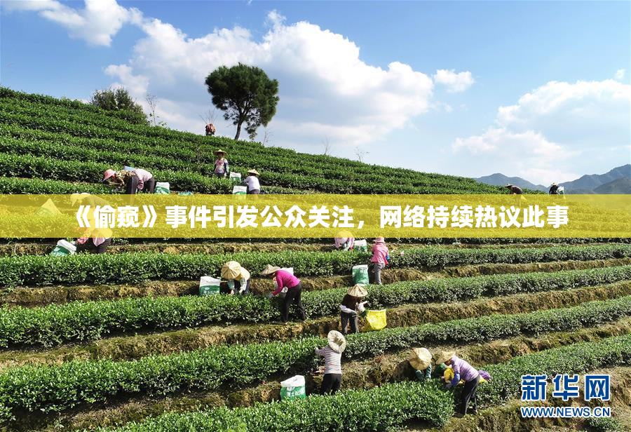 《偷窥》事件引发公众关注，网络持续热议此事