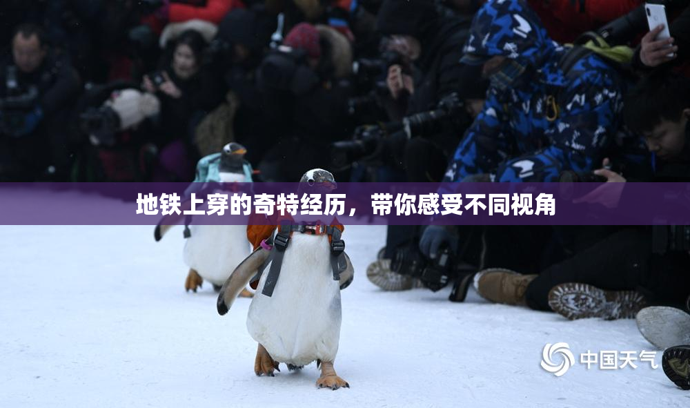 地铁上穿的奇特经历，带你感受不同视角