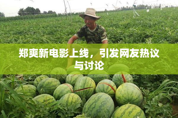 郑爽新电影上线，引发网友热议与讨论