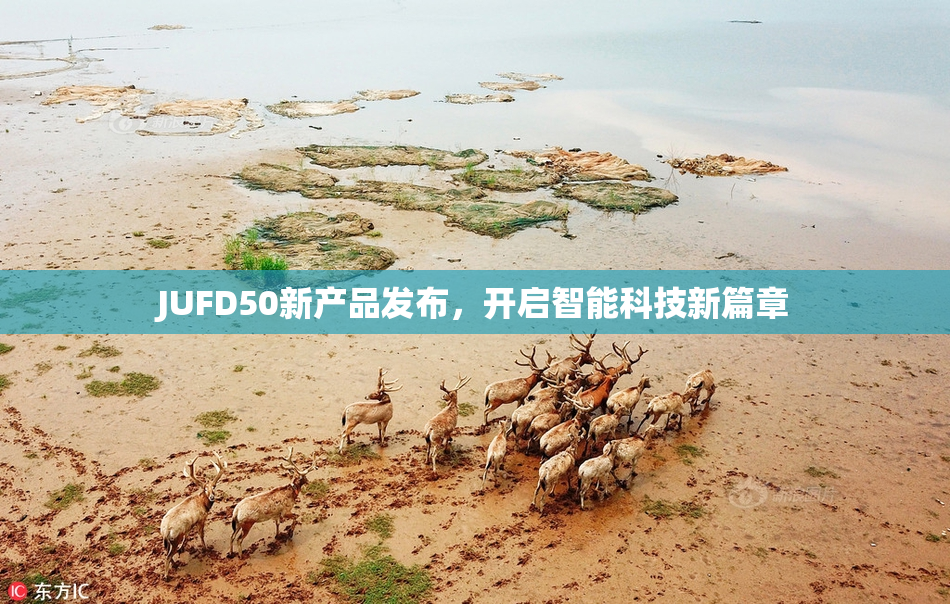 JUFD50新产品发布，开启智能科技新篇章