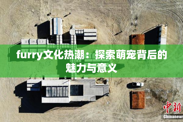 furry文化热潮：探索萌宠背后的魅力与意义