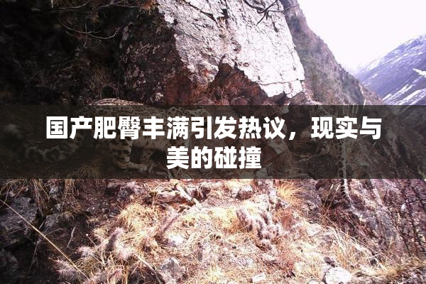 国产肥臀丰满引发热议，现实与美的碰撞