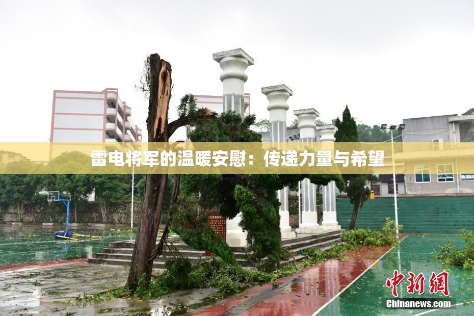 雷电将军的温暖安慰：传递力量与希望