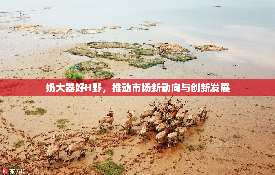奶大器好H野，推动市场新动向与创新发展