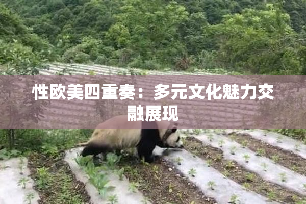 性欧美四重奏：多元文化魅力交融展现