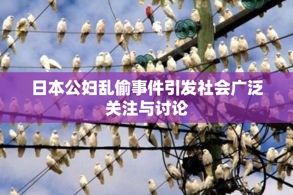 日本公妇乱偷事件引发社会广泛关注与讨论