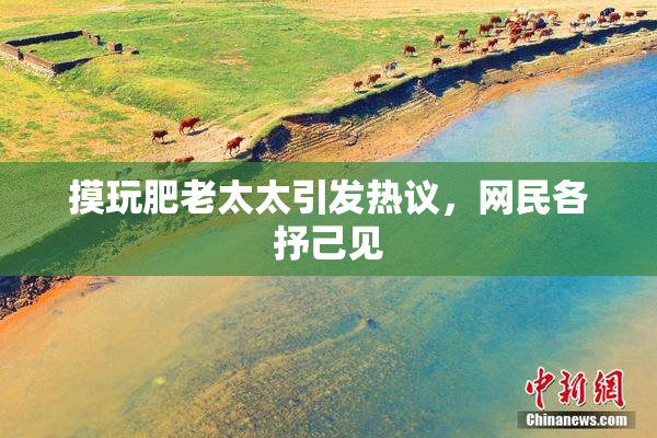 摸玩肥老太太引发热议，网民各抒己见