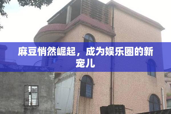 麻豆悄然崛起，成为娱乐圈的新宠儿