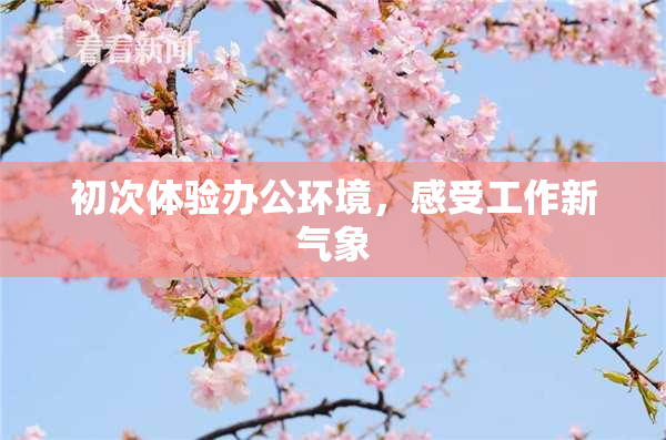 初次体验办公环境，感受工作新气象