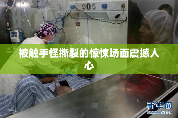 被触手怪撕裂的惊悚场面震撼人心