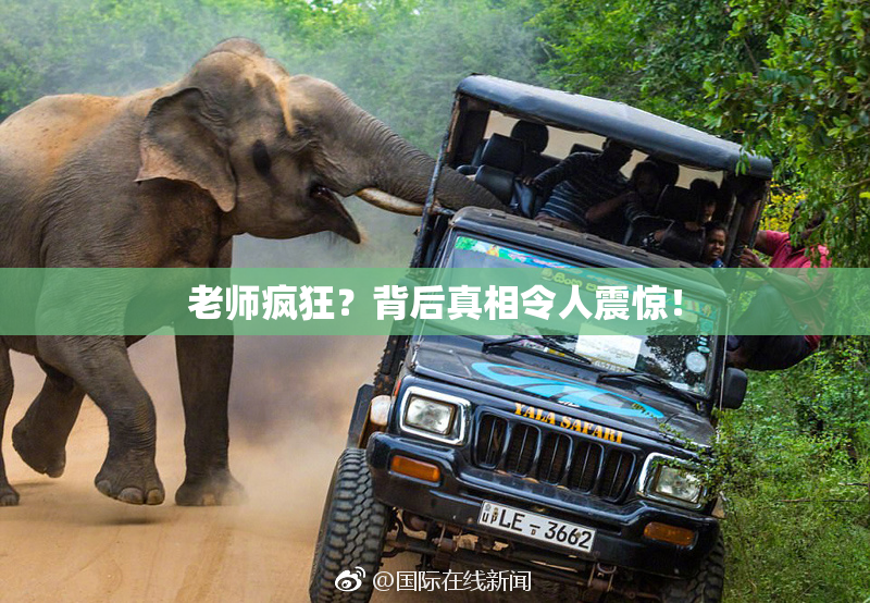 老师疯狂？背后真相令人震惊！