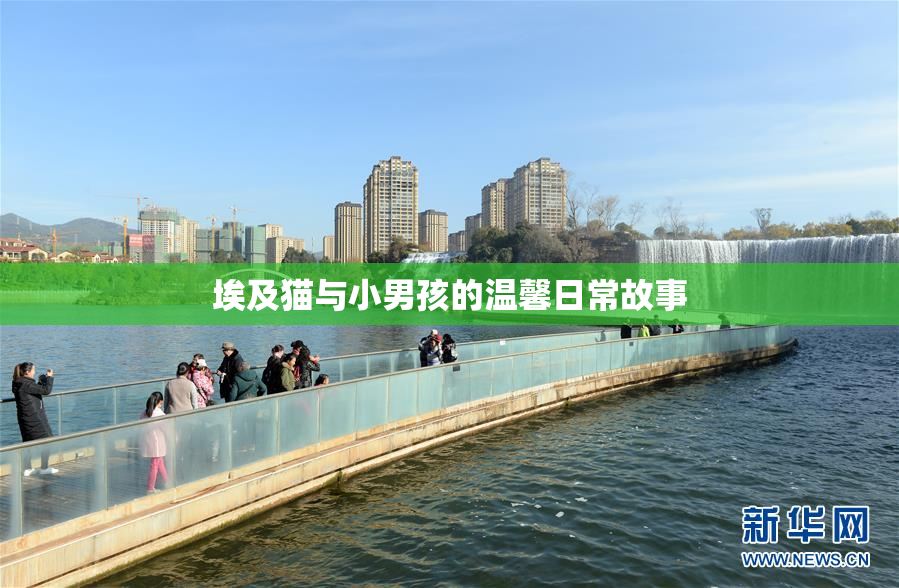 埃及猫与小男孩的温馨日常故事