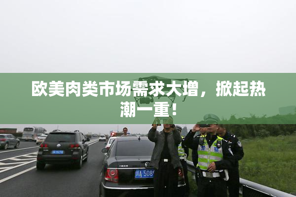 欧美肉类市场需求大增，掀起热潮一重！
