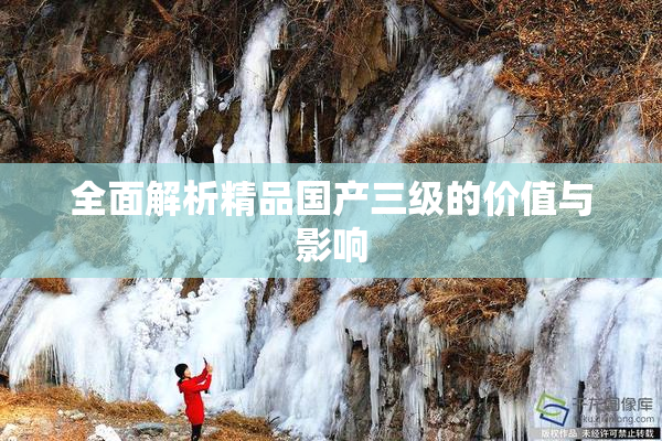 全面解析精品国产三级的价值与影响