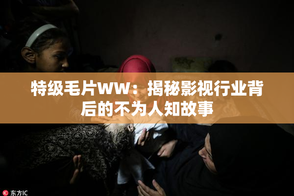 特级毛片WW：揭秘影视行业背后的不为人知故事