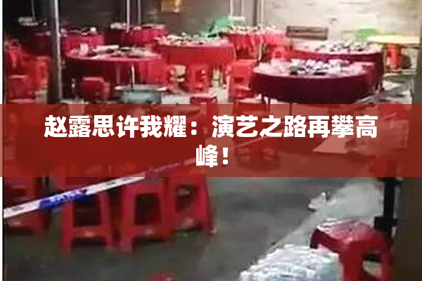 赵露思许我耀：演艺之路再攀高峰！
