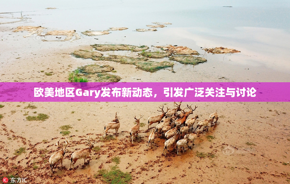 欧美地区Gary发布新动态，引发广泛关注与讨论