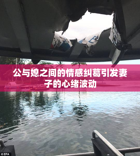公与媳之间的情感纠葛引发妻子的心绪波动