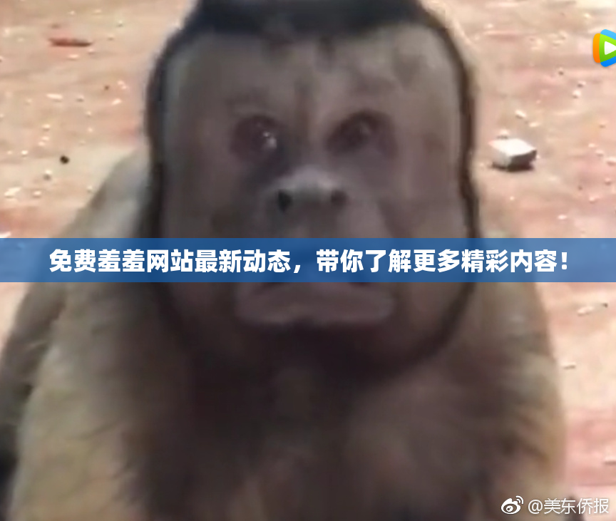 免费羞羞网站最新动态，带你了解更多精彩内容！