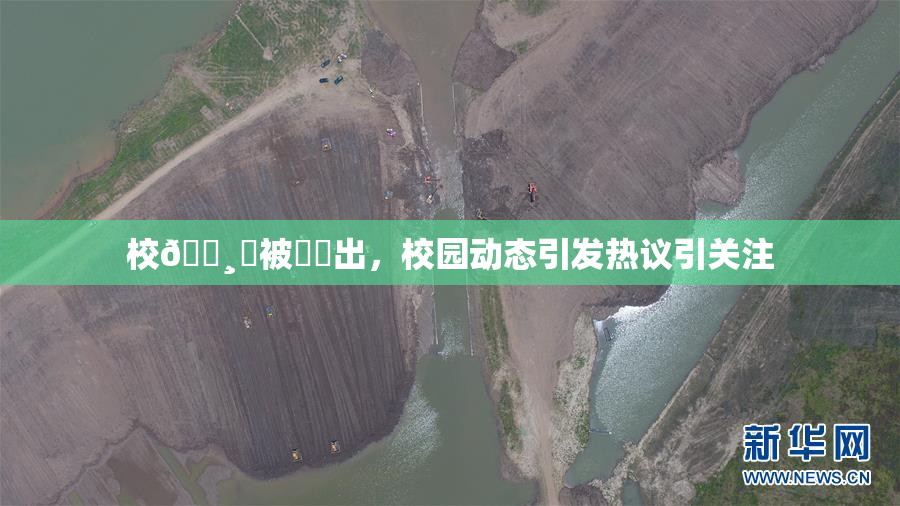 校🌸‌被❌‌出，校园动态引发热议引关注