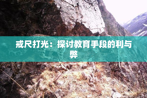 戒尺打光：探讨教育手段的利与弊