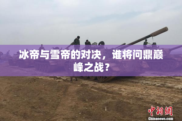 冰帝与雪帝的对决，谁将问鼎巅峰之战？