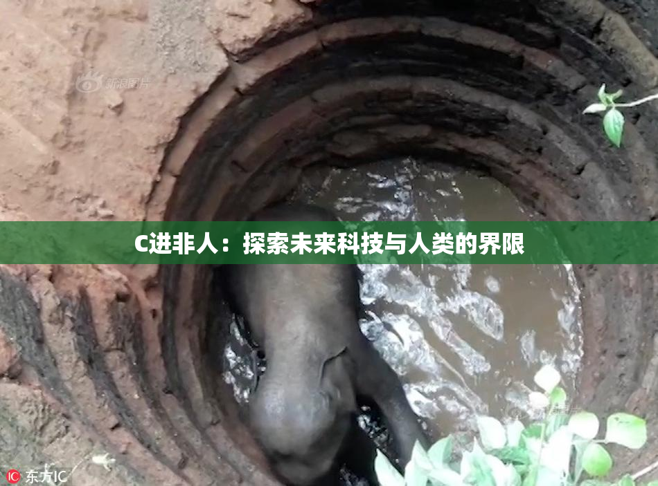 C进非人：探索未来科技与人类的界限