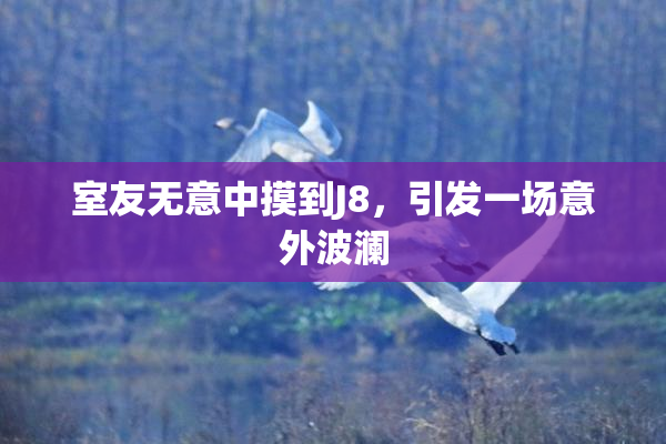 室友无意中摸到J8，引发一场意外波澜