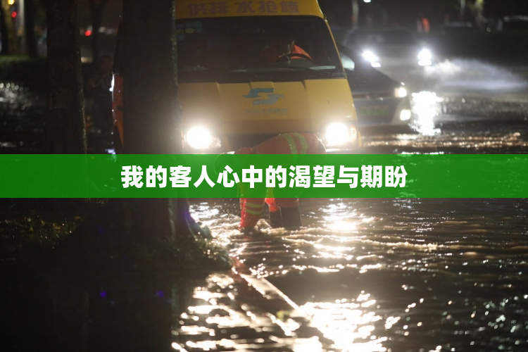 我的客人心中的渴望与期盼