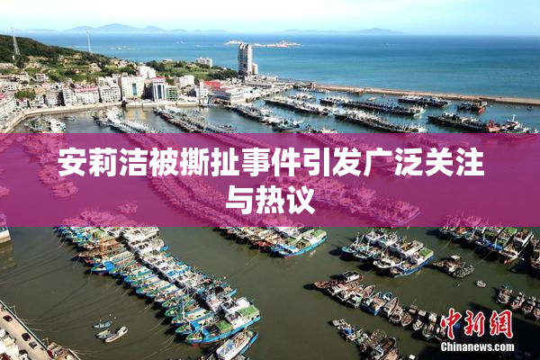 安莉洁被撕扯事件引发广泛关注与热议