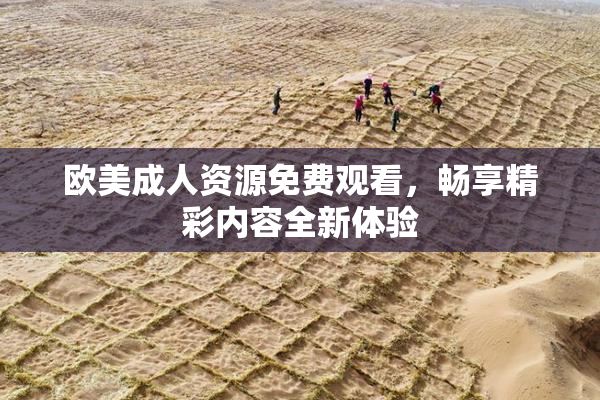 欧美成人资源免费观看，畅享精彩内容全新体验