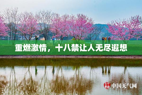 重燃激情，十八禁让人无尽遐想