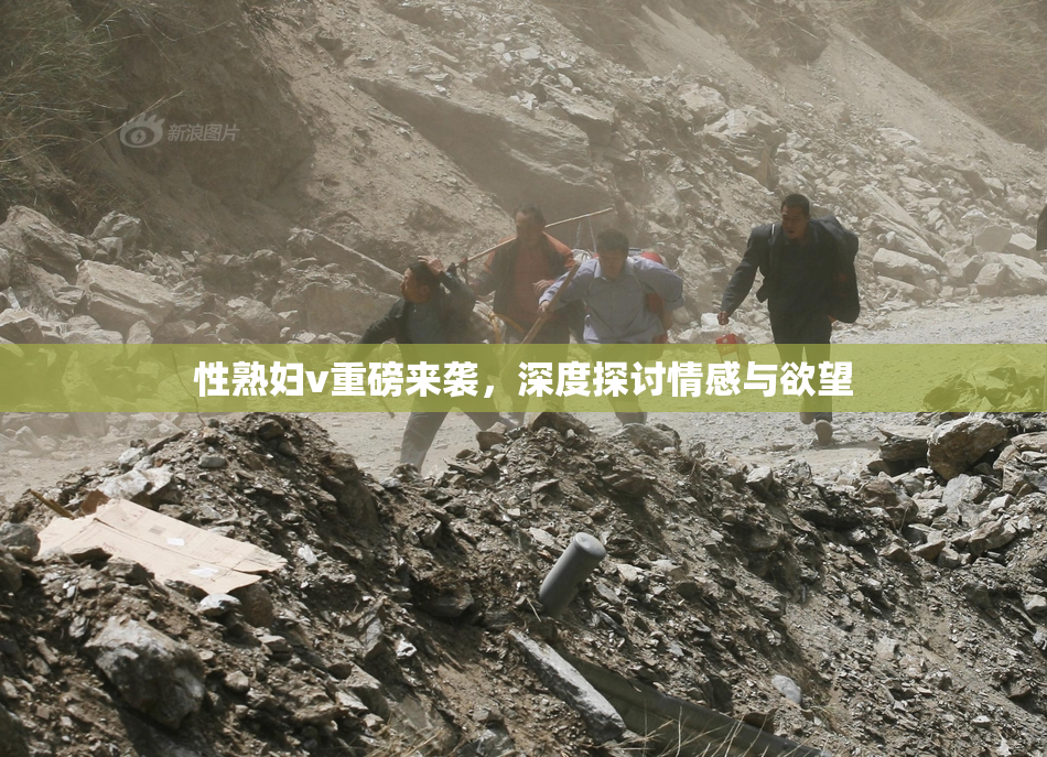 性熟妇v重磅来袭，深度探讨情感与欲望