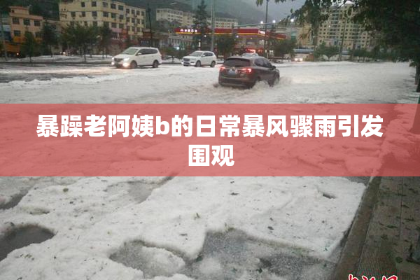 暴躁老阿姨b的日常暴风骤雨引发围观