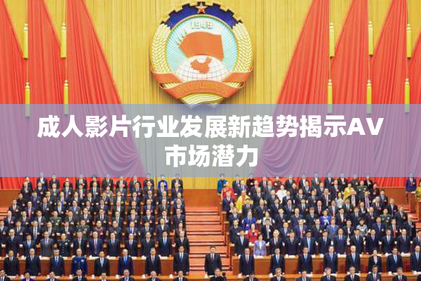 成人影片行业发展新趋势揭示AV市场潜力