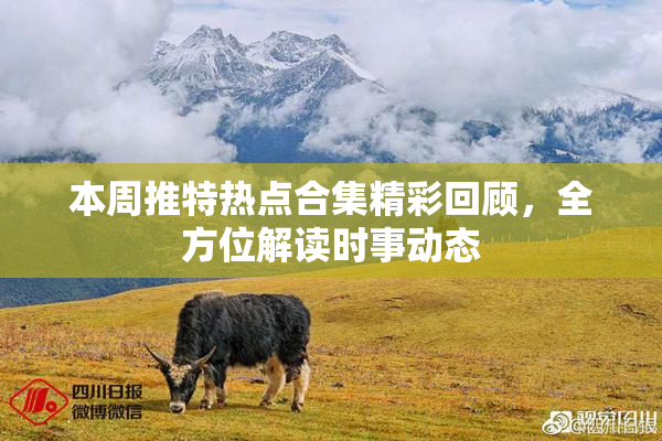 本周推特热点合集精彩回顾，全方位解读时事动态