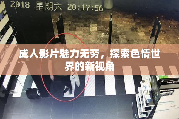 成人影片魅力无穷，探索色情世界的新视角
