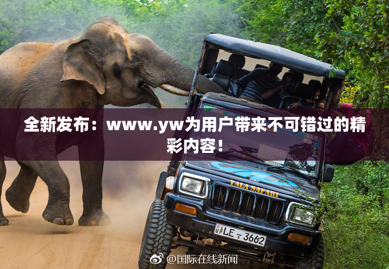 全新发布：www.yw为用户带来不可错过的精彩内容！